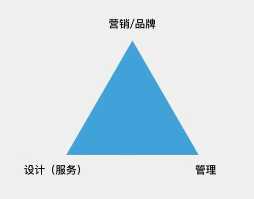 大道恒美品牌管理的“大品牌战略”体系及运用策略