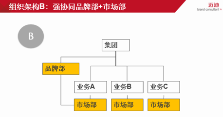 从品牌战略到品牌管理体系 构建系统性竞争力的路径