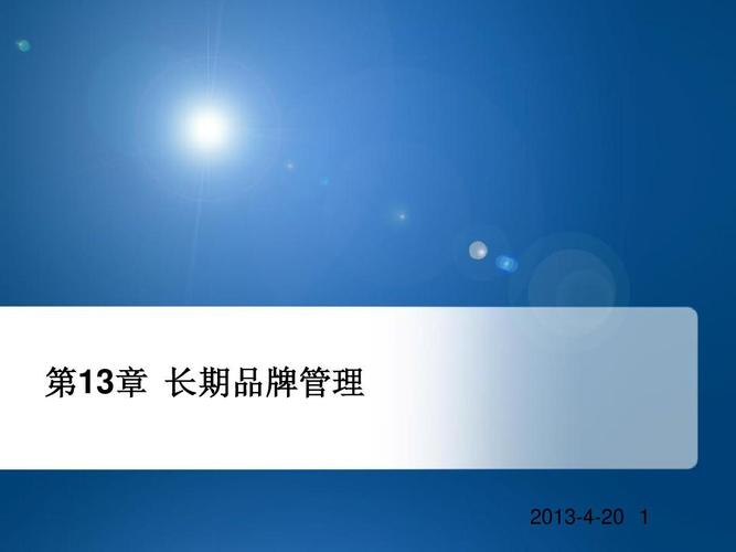 战略品牌管理13.14